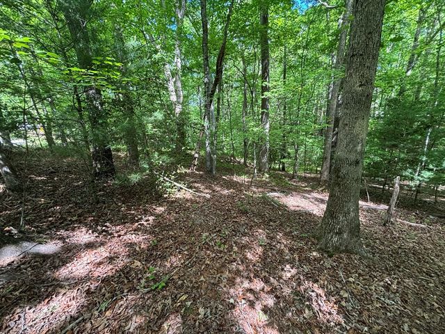 Lot 1B Forest Lane, Murphy, NC 28906