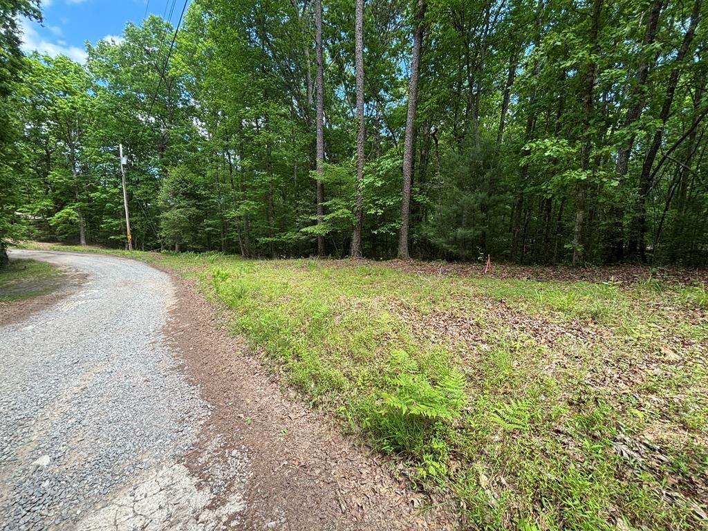 Lot 1B Forest Lane, Murphy, NC 28906
