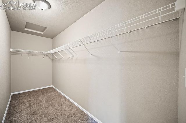 7617 Black Spruce Heights, Colorado Springs, CO 80908