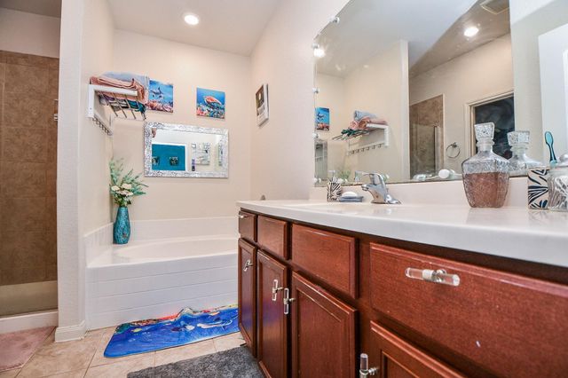 9803 Garnet Grove Drive, Rosharon, TX 77583