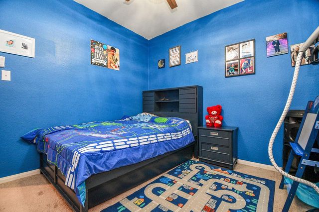 9803 Garnet Grove Drive, Rosharon, TX 77583