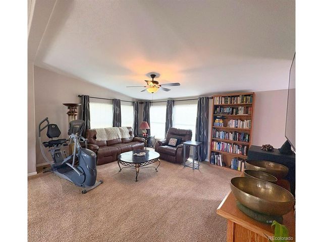 29 Granada Ct, Silver Cliff, CO 81252