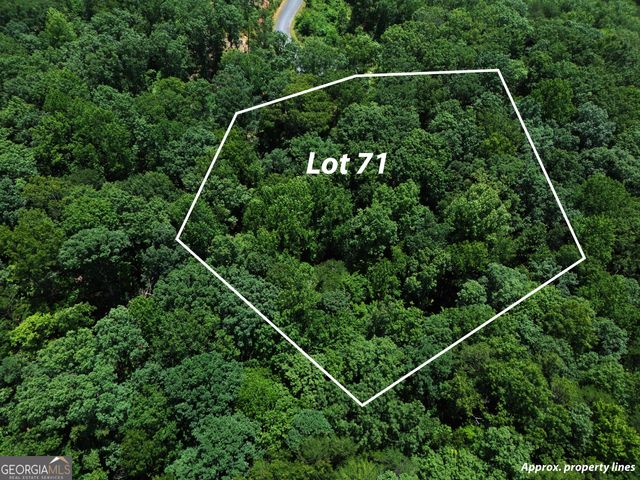 LT 71 High Summit, Talking Rock, GA 30175