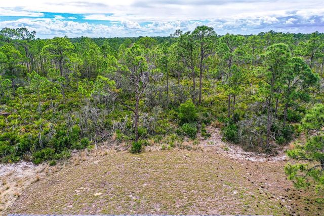 1417 BITTERSWEET STREET, Lake Placid, FL 33852