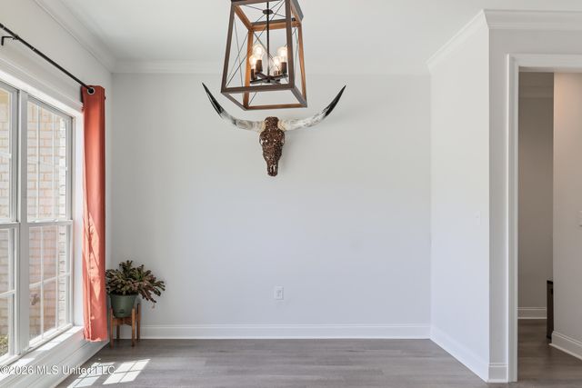 104 Azalea Cove, Madison, MS 39110