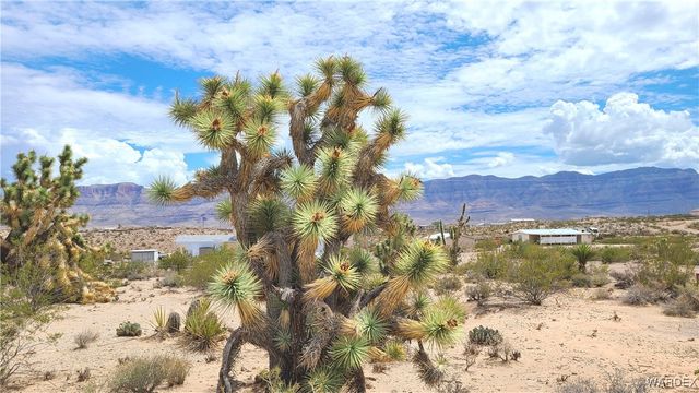 765 E Bishop Drive, Meadview, AZ 86444