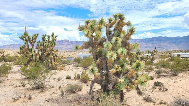 765 E Bishop Drive, Meadview, AZ 86444