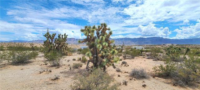 765 E Bishop Drive, Meadview, AZ 86444