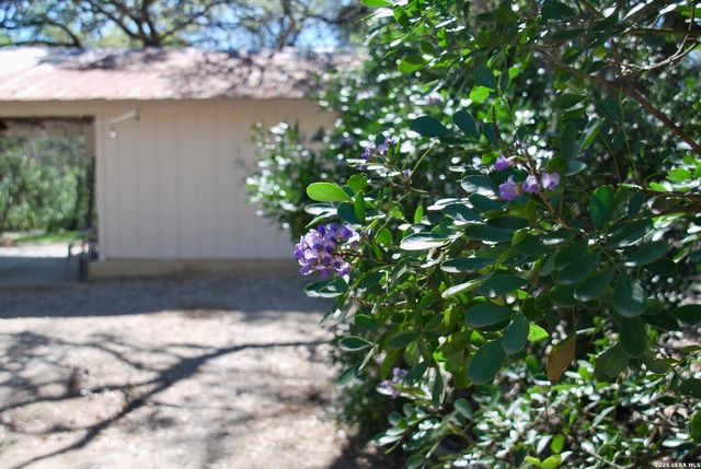 625 Mountain Laurel, New Braunfels, TX 78132