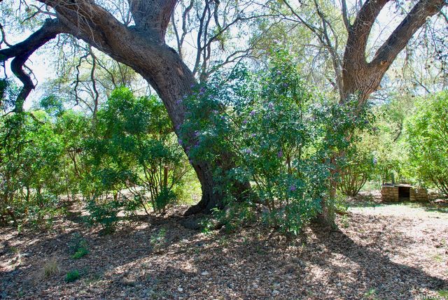 625 Mountain Laurel, New Braunfels, TX 78132