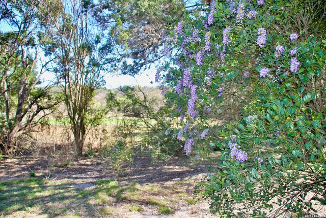 625 Mountain Laurel, New Braunfels, TX 78132