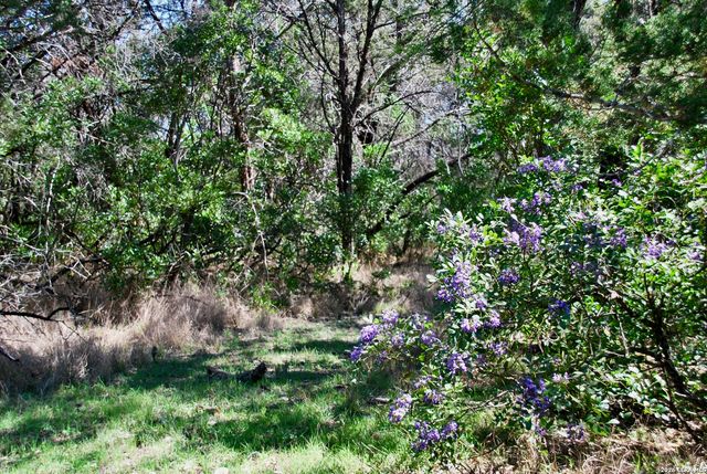 625 Mountain Laurel, New Braunfels, TX 78132