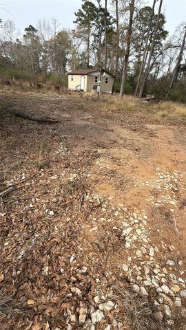 124 Fannin, Livingston, TX 77351