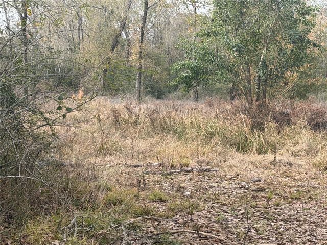 124 Fannin, Livingston, TX 77351