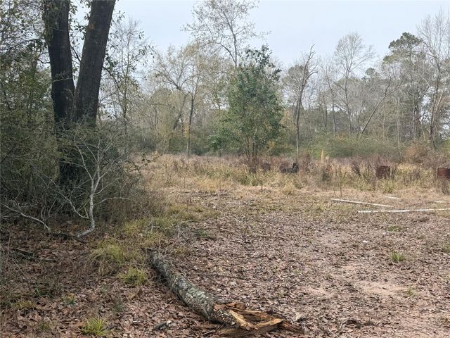 124 Fannin, Livingston, TX 77351