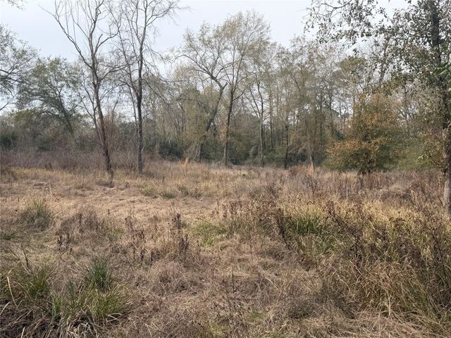 124 Fannin, Livingston, TX 77351