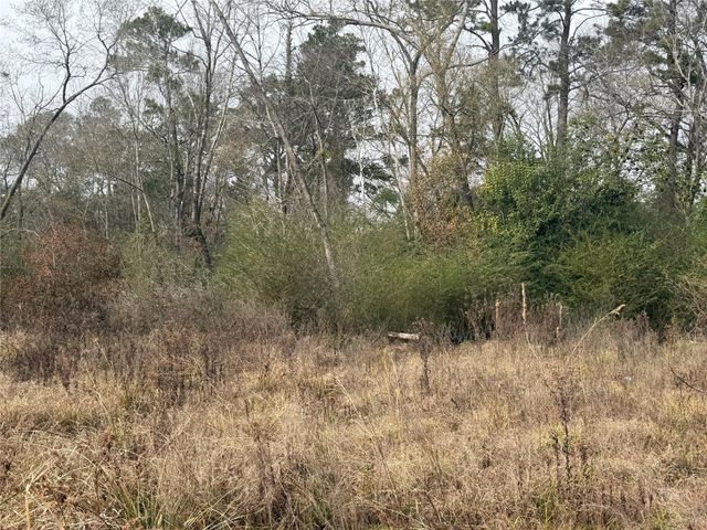 124 Fannin, Livingston, TX 77351