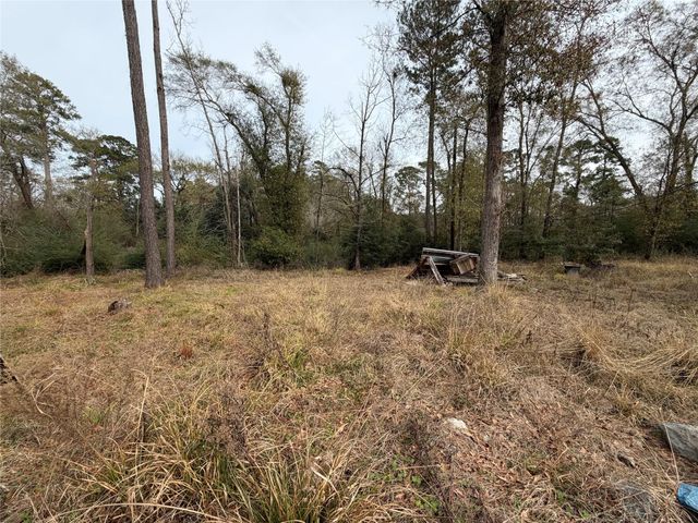 124 Fannin, Livingston, TX 77351