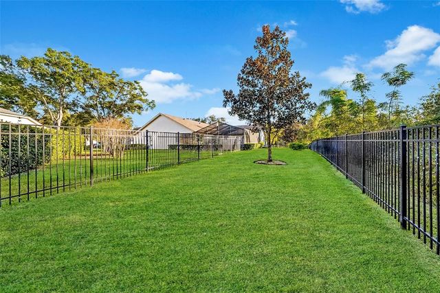 17302 PREAKNESS PLACE, Odessa, FL 33556