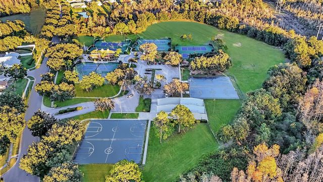 17302 PREAKNESS PLACE, Odessa, FL 33556