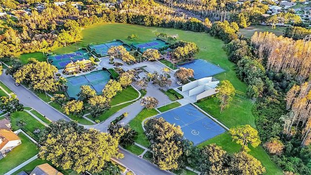 17302 PREAKNESS PLACE, Odessa, FL 33556