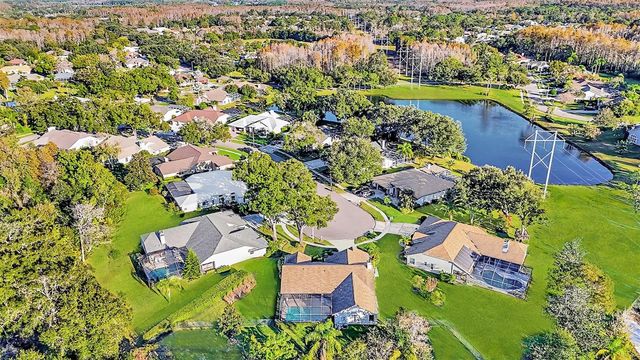 17302 PREAKNESS PLACE, Odessa, FL 33556