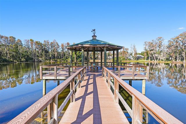 17302 PREAKNESS PLACE, Odessa, FL 33556