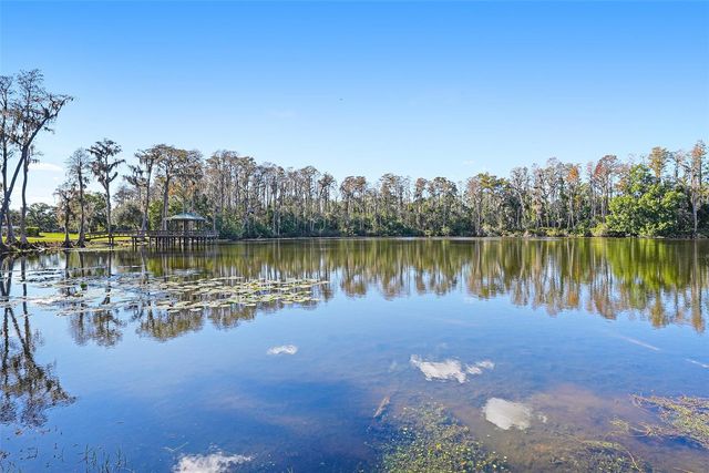 17302 PREAKNESS PLACE, Odessa, FL 33556