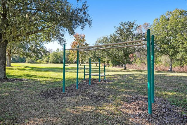 17302 PREAKNESS PLACE, Odessa, FL 33556