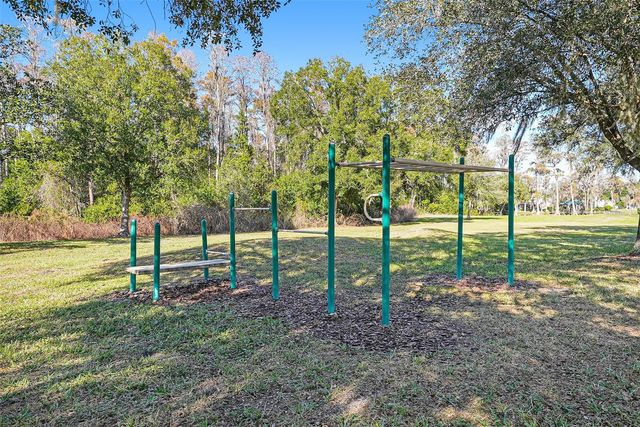 17302 PREAKNESS PLACE, Odessa, FL 33556