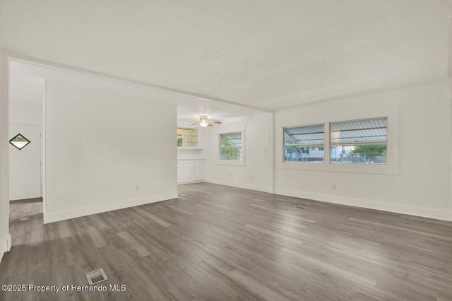10051 Huntley Street, New Port Richey, FL 34654