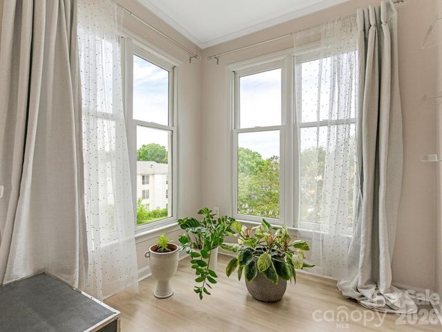 212 W 10th Street 3, Charlotte, NC 28202