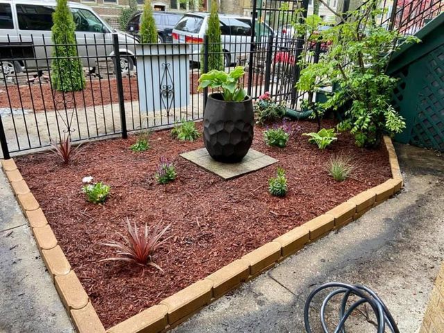 1428 W Edgewater Avenue G, Chicago, IL 60660