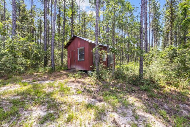 9250 E Fm 942, Livingston, TX 77351