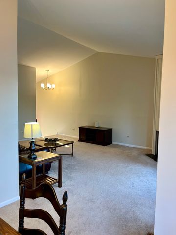 33 Shoreline Road B, Lake Barrington, IL 60010