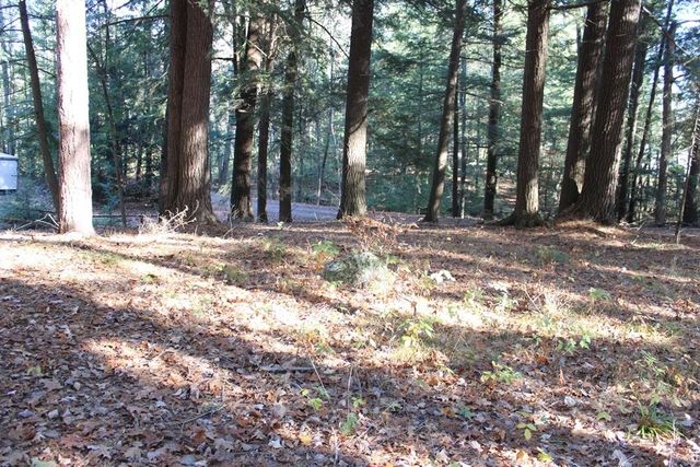 2809 Hayes Road, Harrison, MI 48625