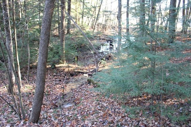 2809 Hayes Road, Harrison, MI 48625