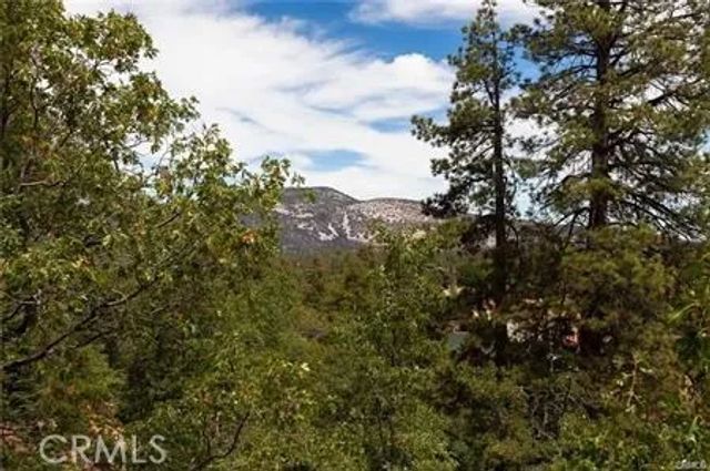 1186 Alameda Ct, Big Bear, CA 92314
