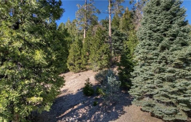 2402 Spring Oak, Running Springs, CA 92382