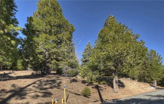 2402 Spring Oak, Running Springs, CA 92382