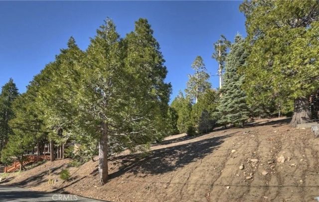 2402 Spring Oak, Running Springs, CA 92382