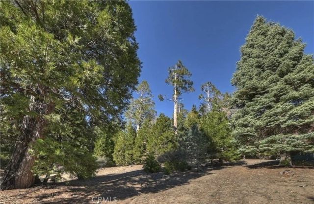 2402 Spring Oak, Running Springs, CA 92382