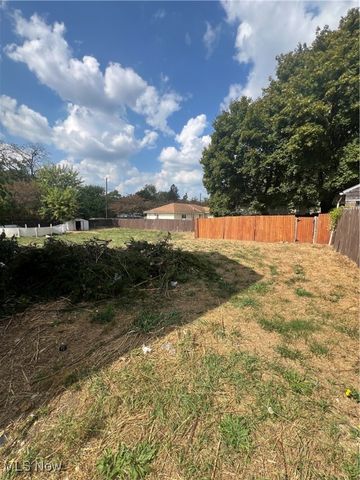 1095 E Archwood Avenue, Akron, OH 44306