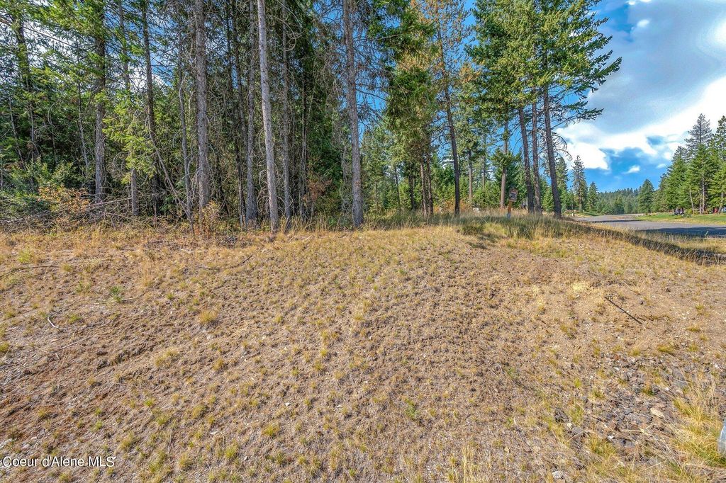 L6B9 N Walden Loop, Rathdrum, ID 83858 photo 20