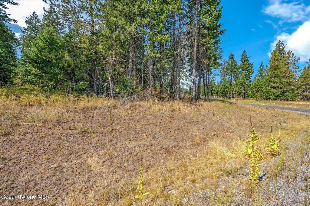 L6B9 N Walden Loop, Rathdrum, ID 83858 photo 21