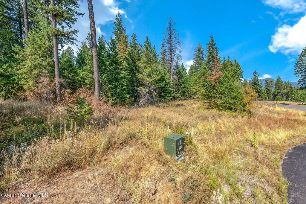 L6B9 N Walden Loop, Rathdrum, ID 83858 photo 26