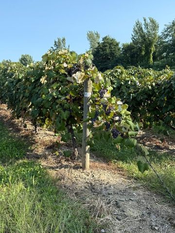 8782 BELLE Road, Harborcreek, PA 16421