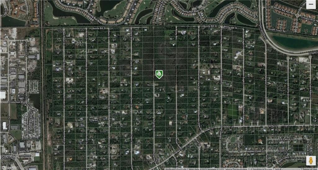 Amarillo ST, BONITA SPRINGS, FL 34135 — exterior