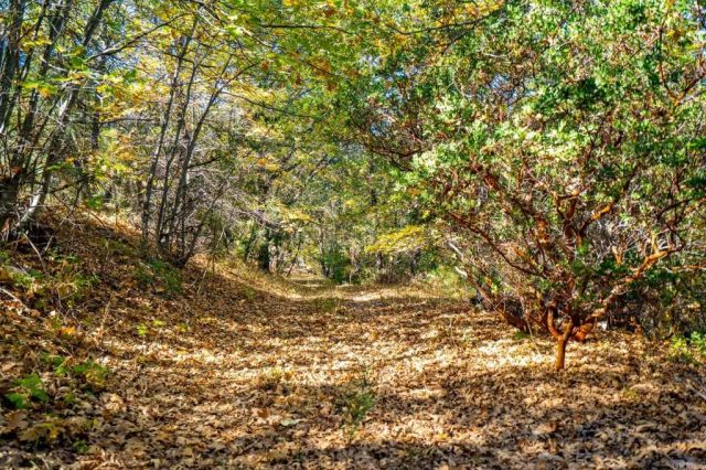 2810 Three Peaks Lane, Julian, CA 92036