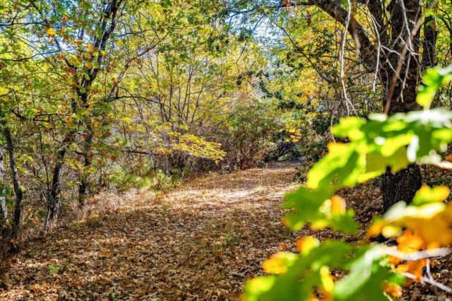 2810 Three Peaks Lane, Julian, CA 92036